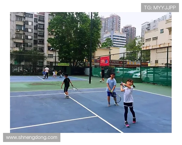 杭州网球队的成长之路:一段关于坚持与梦想的网球纪实故事 杭州网球队的成长之路:一段关于坚持与梦想的网球纪实故事