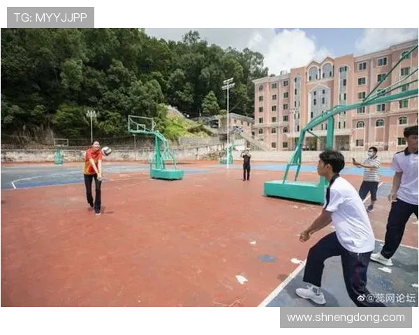 上海排球队的转型之路与未来发展趋势深度解析