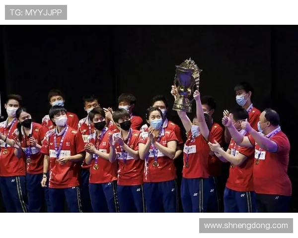 南京羽毛球队与北京羽毛球队赛后状态分析与复盘探讨