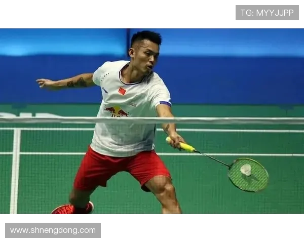 深圳羽毛球队战术表现深度分析与数据解读探索