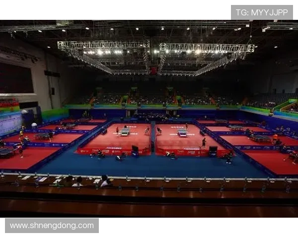 西安乒乓球队的速度之美与技术探秘全景分析 西安乒乓球队的速度之美与技术探秘全景分析