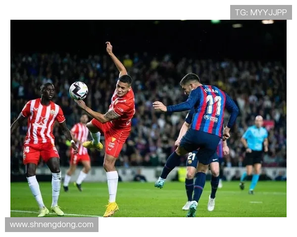 足球明星小小马图片