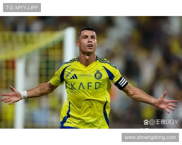 足球明星的传奇人生与辉煌成就全景揭秘