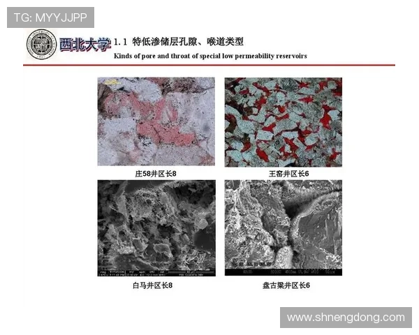 广州篮球队边路渗透战术分析及其对比赛结果的影响探讨 广州篮球队边路渗透战术分析及其对比赛结果的影响探讨