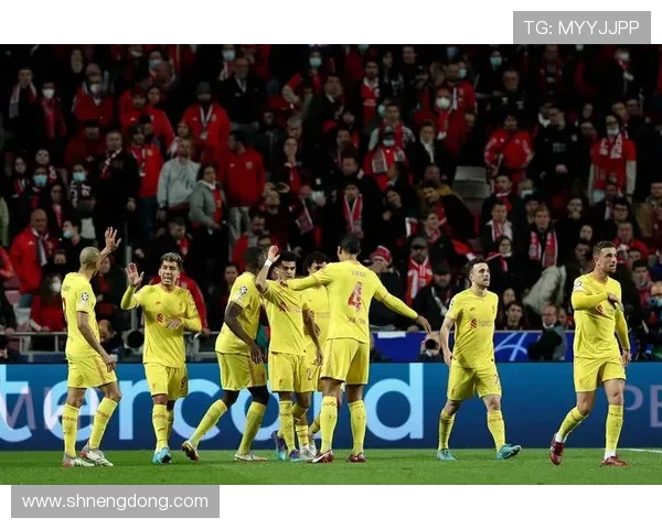 菲开头的足球明星盘点与他们的辉煌成就解析 菲开头的足球明星盘点与他们的辉煌成就解析