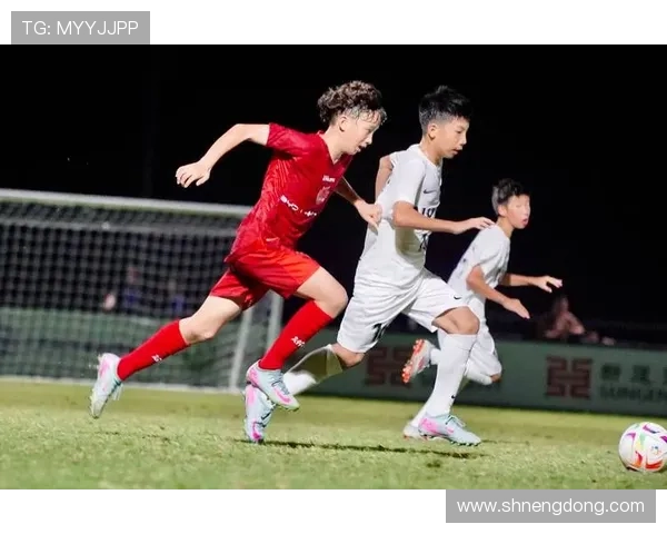 重庆足球队实力强劲荣登足球力量排行榜第五名 重庆足球队实力强劲荣登足球力量排行榜第五名