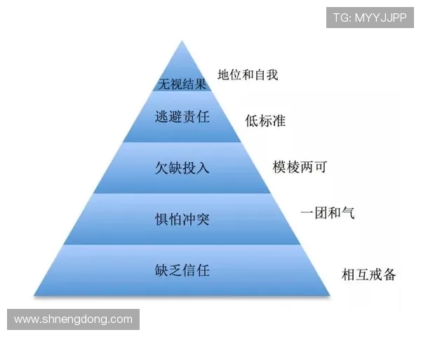南京羽毛球队团队协作表现的数据分析与提升策略探讨