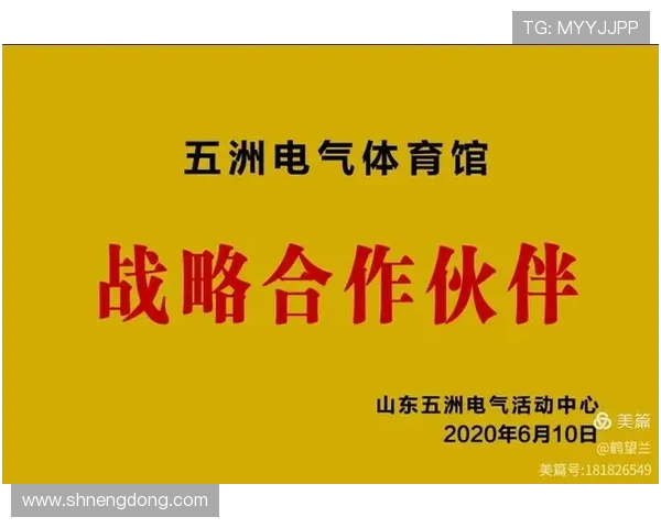 杭州排球队与西安排球队的赛后复盘与经验分享分析